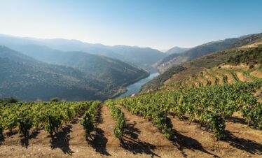 9 days in Portugal